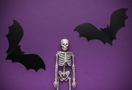 Halloween Skeleton and Bat Decorations on Purple Backgroundの写真素材