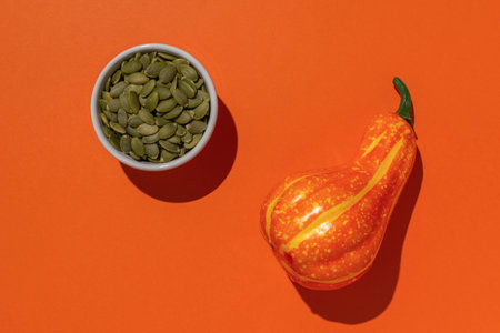 Pumpkin Seeds and Decorative Gourd on Vibrant Orange Background Autumn Harvest Stock Photoの写真素材