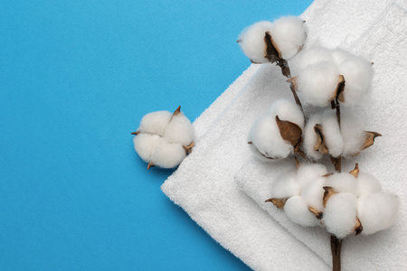 Cotton Branch with Towels on Blue Background - Natural and Soft Textiles Stock Photoの写真素材