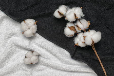 Cotton Balls on Black and White Fabric: Natural Textile Themeの写真素材