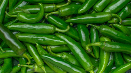 Fresh Green Jalapeno Peppers Pile Organic Spicy Vegetablesの写真素材