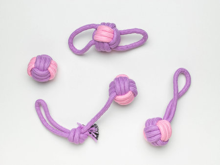 Colorful Knotted Rope Dog Toys on White Background - Playful Pet Accessoriesの写真素材