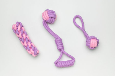 Colorful Purple and Pink Rope Dog Toys for Pets Isolated on White Backgroundの写真素材