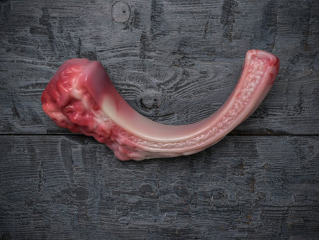 Realistic Anatomical Model of Human Colon on Wooden Background for Medical Educationの写真素材