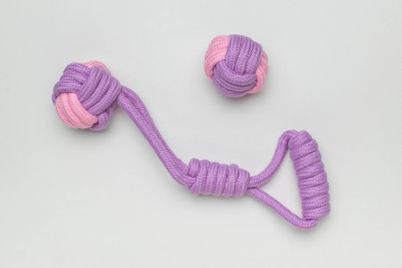 Colorful Knotted Rope Toys for Pets on White Background, Purple and Pink Pet Accessories, Playful Items for Dogsの写真素材