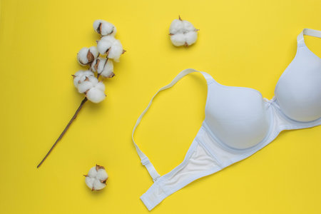 White Cotton Bra with Natural Cotton Branch on Bright Yellow Backgroundの写真素材