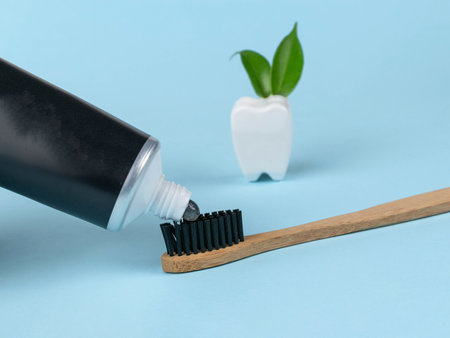 Black Toothpaste on Bamboo Toothbrush with Ceramic Tooth Ornament and Green Leavesの写真素材