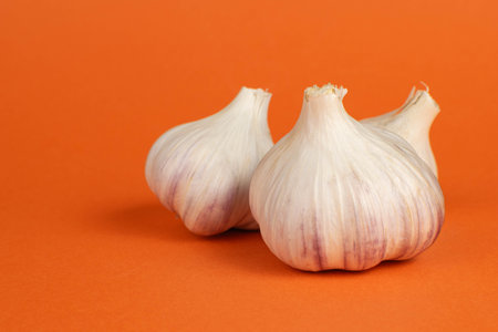 Fresh Garlic Bulbs on Vibrant Orange Background: Minimalist Food Photographyの写真素材