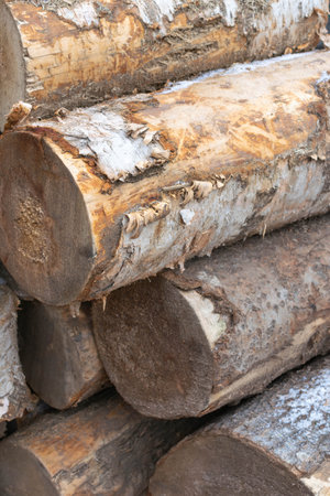 Close-Up of Stacked Tree Trunks with Rustic Bark Texture in Natural Settingの写真素材