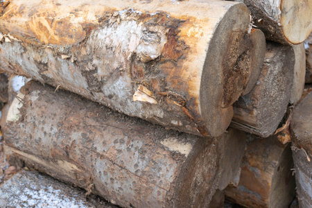 Close-Up of Rustic Wooden Logs with Textured Bark in Natural Settingの写真素材