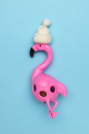 Pink Flamingo with Knitted Hat on Blue Background - Quirky Conceptual Stock Photoの写真素材