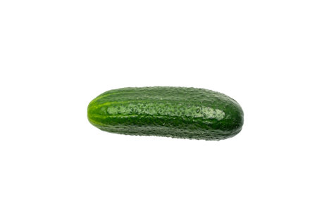 Fresh Green Cucumber on White Background - Isolated Organic Vegetable for Healthy Eatingの写真素材