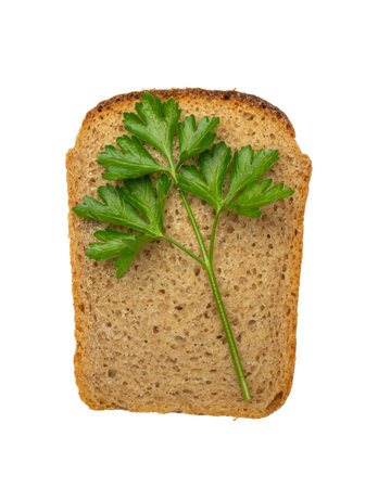 Whole Wheat Bread Slice with Fresh Parsley Garnishの写真素材