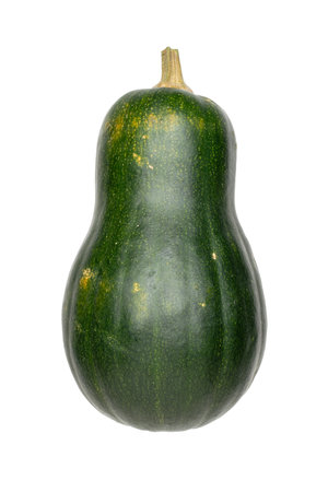 Green Butternut Squash: Isolated Fresh Vegetable on White Background, Perfect for Autumn Harvest Themesの写真素材