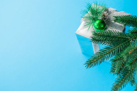 Silver Gift Box with Green Ornament and Pine Branch on Blue Backgroundの写真素材