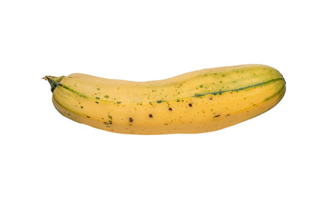 Ripe Yellow Banana on White Background Showcasing Natural Imperfectionsの写真素材