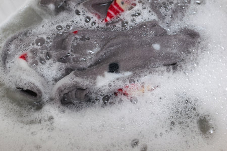 Laundry in Soapy Water: Close-Up of Clothes Cleaning Processの写真素材