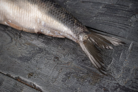 Fresh Fish Tail on Rustic Wooden Surface Highlighting Texture and Detailの写真素材