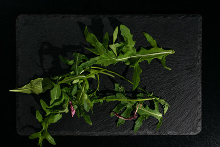 Fresh Arugula Leaves on Dark Slate - Organic Greens for Healthy Cookingの写真素材