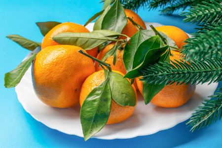 Fresh Oranges with Green Leaves on White Plate and Pine Branches on Blue Backgroundの写真素材