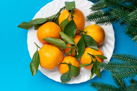 Fresh Tangerines with Green Leaves on White Plate Against Blue Background with Fir Branchesの写真素材