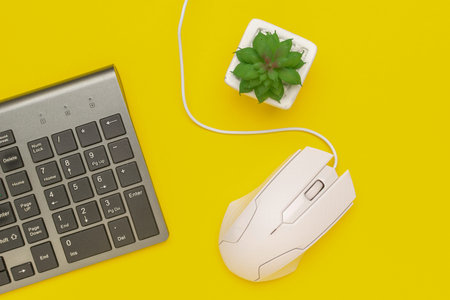 Modern Workspace with Computer Keyboard, Mouse, and Succulent on Vibrant Yellow Background