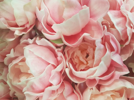 Floral background in different colors - out-of-focus backgroundの写真素材