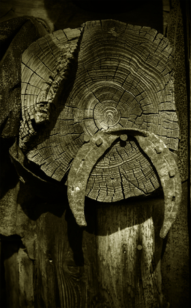 Horseshoeの写真素材