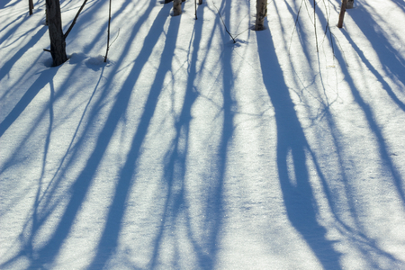 Shadow on the snow.の写真素材