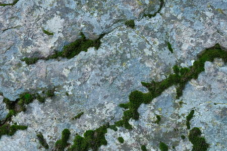 The surface of the rock.Natural background.の写真素材