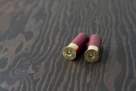 Two 12 gauge shotgun shells