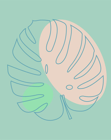 Swiss Cheese Plant Monstera. Real monstera leave isolated on white. Can be used to decorate a background, for composition design. Tropical, botanical nature concept ideas. Vector illustration.のイラスト素材