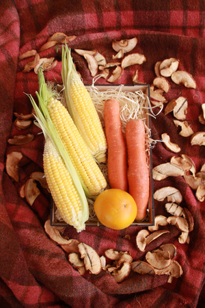 Fall composition for thanksgiving day with corn,apple,mushrooms and pumpkinの写真素材