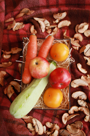 Fall composition for thanksgiving day with corn,apple,mushrooms and pumpkinの写真素材