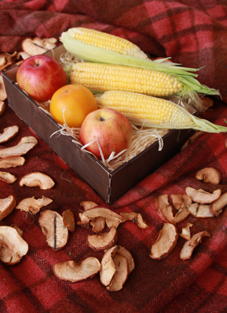 Fall composition for thanksgiving day with corn,apple,mushrooms and pumpkinの写真素材