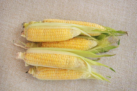 Photo of yellow corn on tableの写真素材