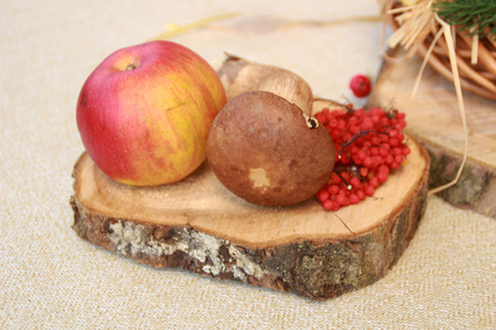 Fall composition for thanksgiving day with corn,apple,mushrooms and pumpkinの写真素材