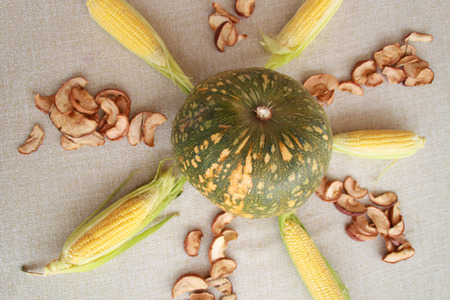 Fall composition for thanksgiving day with corn,apple,mushrooms and pumpkinの写真素材