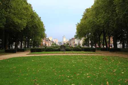 Photo of grass in Brussels park.の写真素材