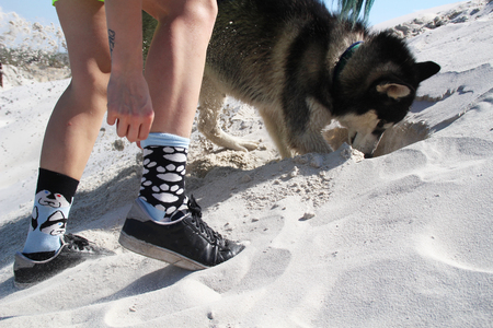 Photo of the best friends playing the girl and husky.の写真素材