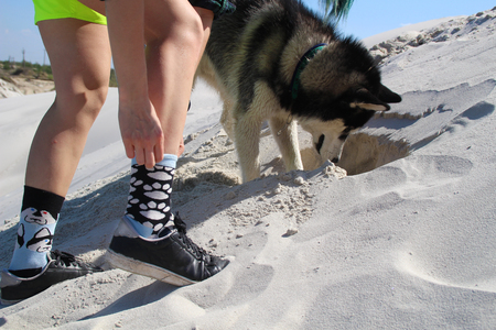 Photo of the best friends playing the girl and husky.の写真素材