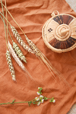 wheat spikes and barley.の写真素材