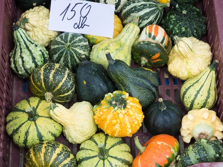 Fresh vegetables on farmers market in Keszthelyの写真素材