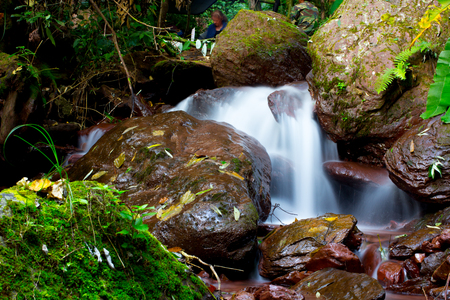 water stream in tropical forest