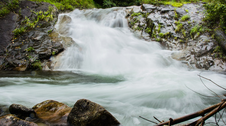 water stream in tropical forestの写真素材
