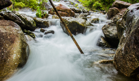 water stream in tropical forestの写真素材