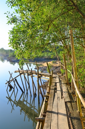 wooden bamboo bridgeの写真素材