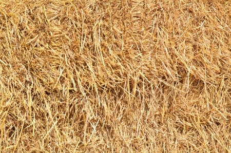 straw background textureの写真素材