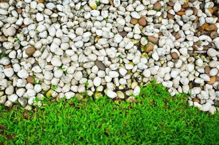stone on green grassの写真素材