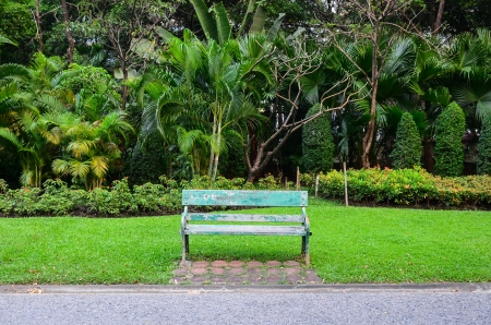 Wooden park bench in the gardenの写真素材
